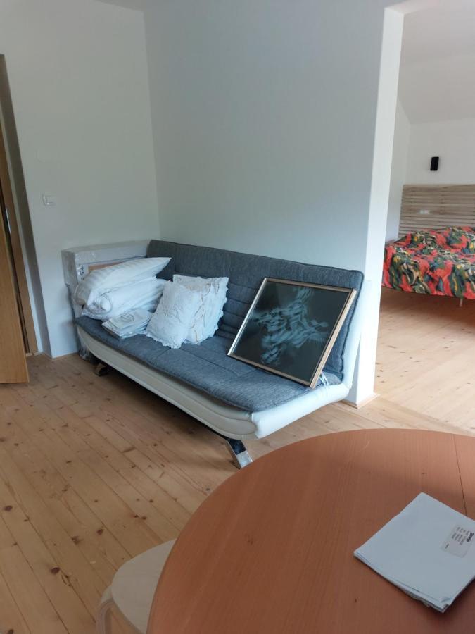 יסניצה Apartma Sava-Stol מראה חיצוני תמונה
